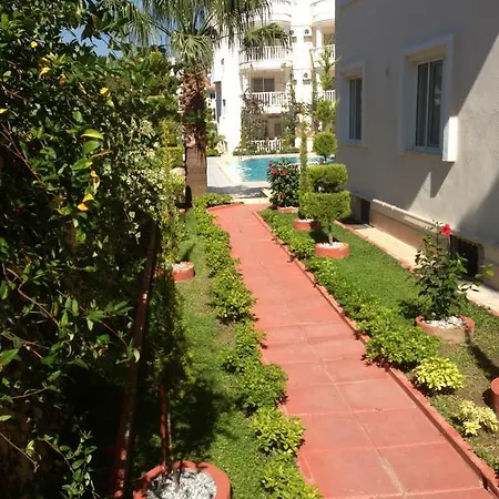 Bulbul A5 Didim