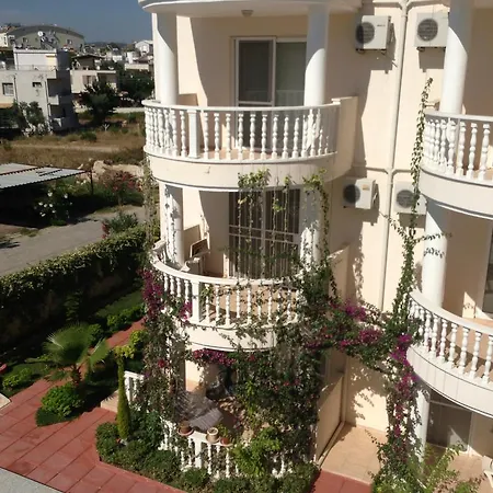 Bulbul A5 * Didim
