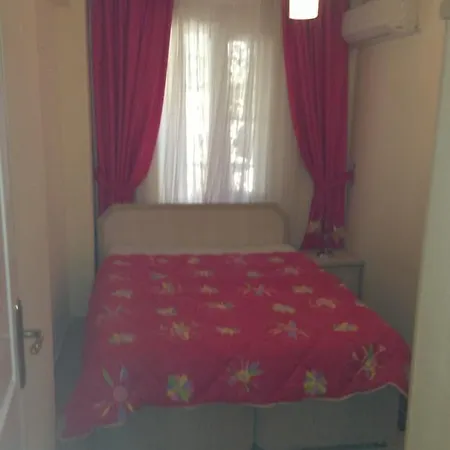 Bulbul A5 Didim
