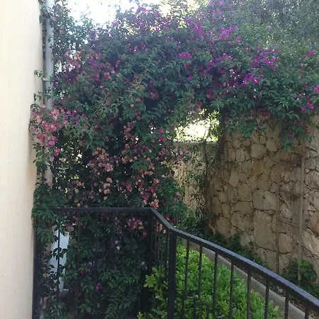 Bulbul A5 Appartement
